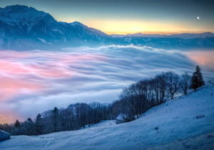 黄精雪梨汤