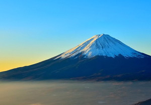 黄精雪梨汤